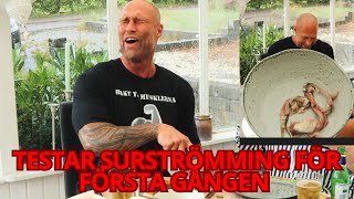 TESTAR SURSTRÖMMING FÖR FÖRSTA GÅNGEN 🐟 🤪 🤢 [upl. by Nedi]