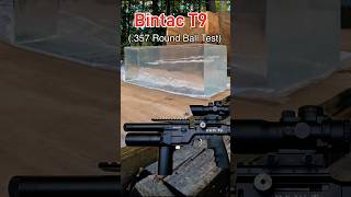 Bintac T9  357 Round Ball Ballistic Gel Test airgun aea bintac [upl. by Liane]