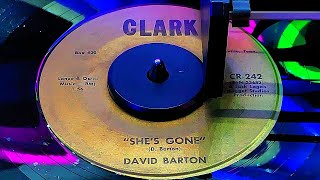 David Barton  Shes Gone 1965 [upl. by Hesther448]