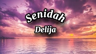 Senidah  Delija Lyrics tekst [upl. by Toole366]