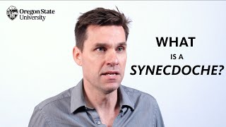 quotWhat is a Synecdochequot A Literary Guide for English Students and Teachers [upl. by Anjela]