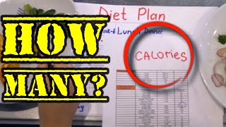 How Many Calories Should You Eat [upl. by Ratep]