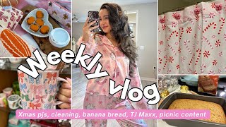 WEEKLY VLOG Cleaning TikTok shop Xmas pjs TJ Maxx picnic content running boxed banana bread [upl. by Nhtanhoj495]