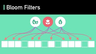 Bloom Filters  Algorithms You Should Know 2  Realworld Examples [upl. by Aelgna623]