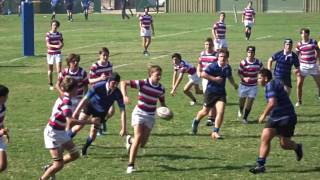 Cranbrook 16A v Knox 16A 036 CAS rugby r1 [upl. by Silsby]