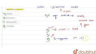 Cephalisation is absent in [upl. by Wahs980]