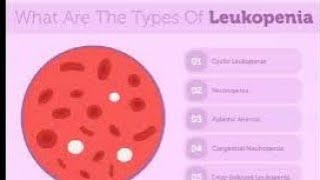 LEUKOPENIA  definition of leukopenia  Causes of leukopenia💯✨ [upl. by Noslien]