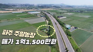 운정신도시 주말농장 매⬆️ 1억1500만원 [upl. by Harmon]