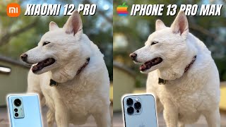 Xiaomi 12 Pro vs iPhone 13 Pro Max Camera Comparison [upl. by Ayarahs]