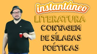 Contagem de Sílabas Poéticas  Literatura  Pedro Gonzaga  Instantâneo [upl. by Hawker552]