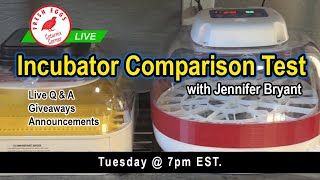 Coturnix Corner LIVE  Incubator Comparison [upl. by Ennalorac]