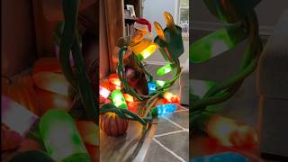 GIANT CHRISTMAS LIGHTS TUTORIAL christmas merrychristmas christmasdecorations christmasdiy [upl. by Inoek971]