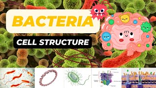 Bacterial Cell Structure [upl. by Esta538]