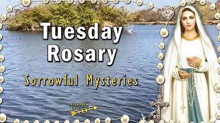 TODAY HOLY ROSARY Tuesday 🙏 Sorrowful Mysteries Rosary [upl. by Nhguavad]