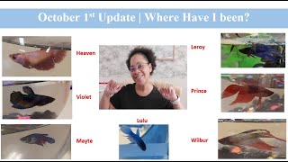 October 1 2023  Where Have I Been  Home Improvement Update [upl. by Acinaj]