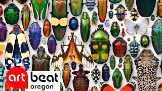 Christopher Marley Combines Nature and Art in Latest Exhibit  Oregon Art Beat [upl. by Lladnyk]