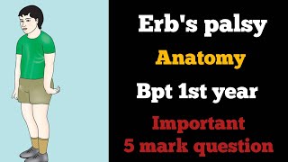 Erbs palsy anatomy in Tamil erbs paralysis clinical anatomy of brachial plexus in Tamil bpt [upl. by Negam814]