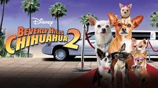 Beverly Hills Chihuahua 2 2011 Disney Film Sequel  Review [upl. by Rumilly]