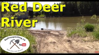 Gold Prospecting the Red Deer River [upl. by Nelad]