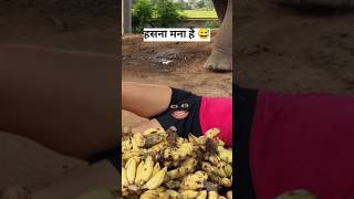 Hathi Raja Hathi Raja  funny video 😅  cartoon videoshorts hathiraja funnyvideo [upl. by Gies]