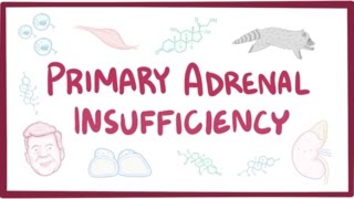 Primary adrenal insufficiency Addisons disease  pathology symptoms diagnosis treatment [upl. by Nitsua]