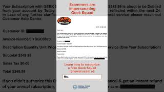 Geek Squad Scam [upl. by Nylinej]