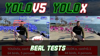 YOLOX vs YOLOv5 Custom Tests [upl. by Bogoch964]