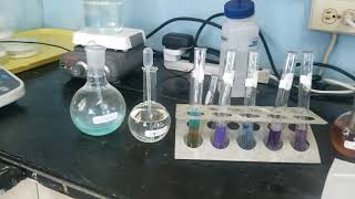 Biochemistry Lab 2 amp 3 Testing For Sugars amp Protienst [upl. by Cykana]