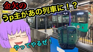 【鉄道旅ゆっくり実況】休止前最後に関西の私鉄5社＆地下鉄3都市全部乗ってみた！ [upl. by Averi264]