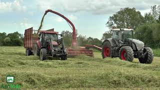 Worlds Biggest Trailed Forager JF Stoll FCT 1460 Forager 🚜💪 [upl. by Mariand131]