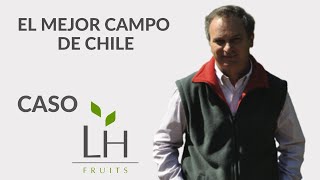 🍑 El mejor campo de Chile  Caso Agrícola La Hornilla [upl. by Gabriele344]