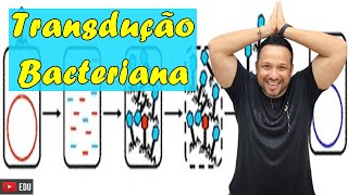 Transdução Bacteriana  Conceito e Processo  Reprodução Bacteriana  Microbiologia [upl. by Ilrahc]