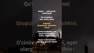 Burjlar  juda yaxshi yashirishadi shortvideo automobile psykotiq love psixolog weather [upl. by Bellanca]