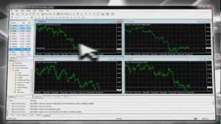 MetaTrader  Trading [upl. by Anaiv]