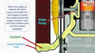 How Car Cooling System Works [upl. by Aserat]