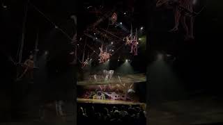 Ovo by Cirque du Soleil Cradle Act [upl. by Siloa769]