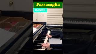 Passacaglia  Handel Halvorsen  Piano 파사칼리아 [upl. by Einatsed372]