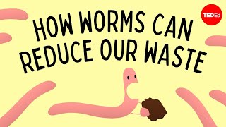 Vermicomposting How worms can reduce our waste  Matthew Ross [upl. by Leslee]