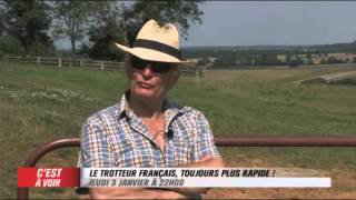 EXTRAIT  Le trotteur français toujours plus rapide  Equidia Live [upl. by Yruoc]