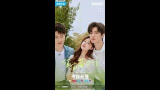 Hidden Love EP 01 Hindi dubbed New Chinese drama in hindi Romantic Full Episode 720pH [upl. by Jeremie]