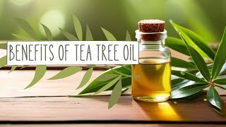 The Ultimate Guide to Tea Tree Oil Endless Benefits [upl. by Terryn]