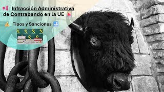 🚨 📢 Infracción Administrativa de Contrabando en la UE Tipos Sanciones y Cómo Evitarla ⚠️ 🛃 [upl. by Augustin]