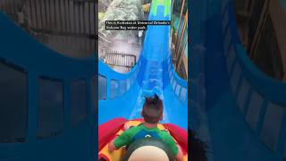 Top 5 rides RANKED at Universal Orlando waterpark 🤯 shorts universalstudios volcanobay [upl. by Alel]