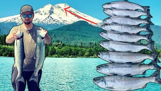 Trolling for Sockeye SALMON near a VOLCANO Washington State [upl. by Emylee]