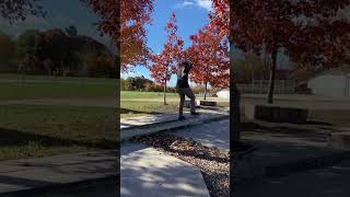 Crook  noseslide skate skatepark clips [upl. by Deehahs539]