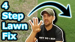 Beginner Lawn Care Tips  How To Improve Your Lawn in 4 Easy Steps  Lawn Motivation [upl. by Dede127]