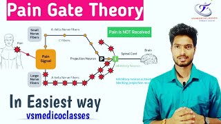 Gate Control Theory of Pain [upl. by Caneghem]