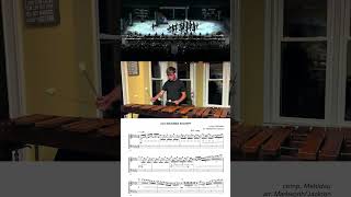 best marimba lick in WGI24 how Rhythm X auditions marimba players must learn absolute 🔥🔥🔥 [upl. by Rothwell]