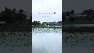 Beautiful hazaribagh jheel  🥰🥰 trendingreels youtubeshorts viralvideo views jharkhand india [upl. by Domineca]