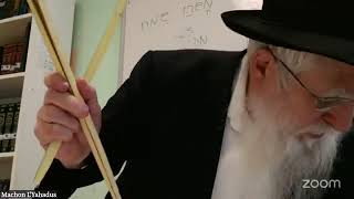 The 4 Species Lulav Etrog etc  Rabbi Majeski 12 Tishrei 5785 [upl. by Neetsirhc]